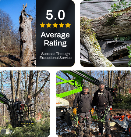 average rating